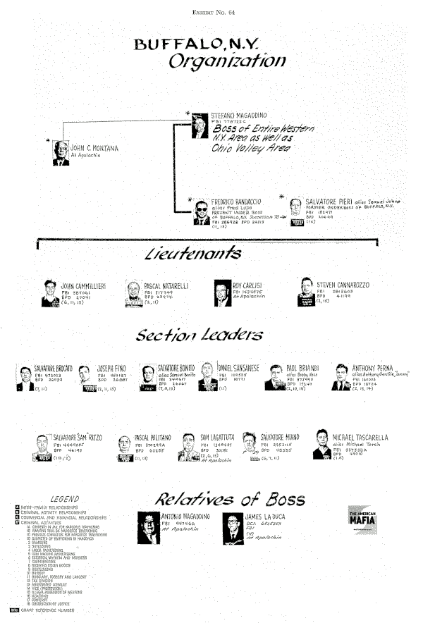 Buffalo Arm hierarchy early 1960s